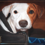 IrisFoxTerrier