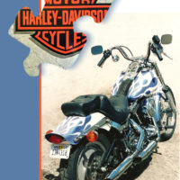 Harley Davidson Pearled Flame
