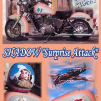 Honda Shadow Surprise Attack