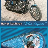 Harley Davidson Blue Cayman