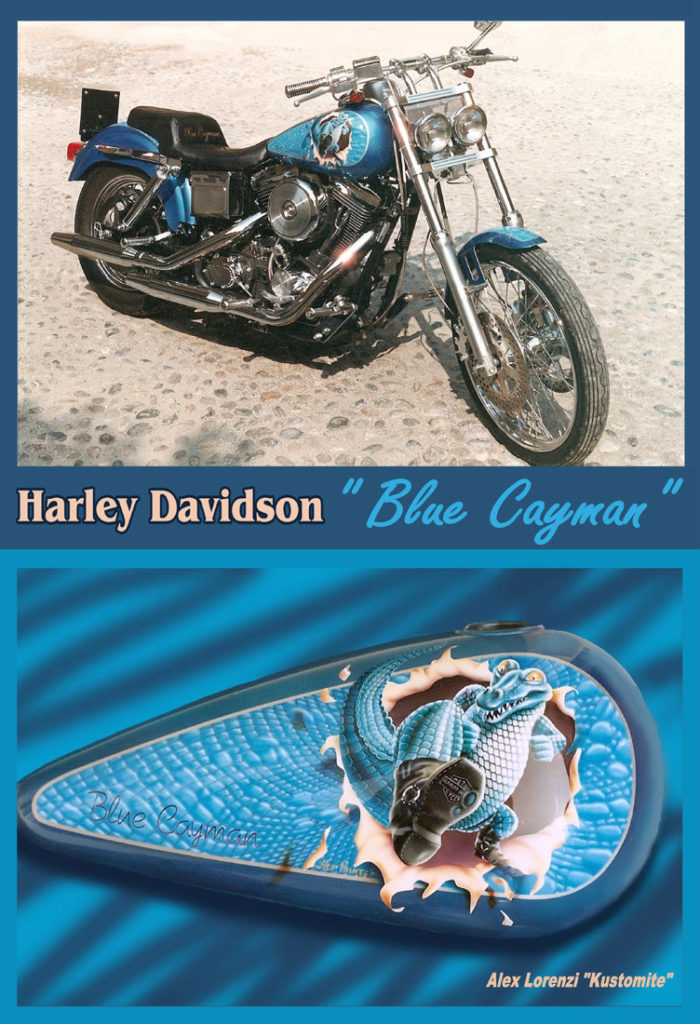 Harley Davidson Blue Cayman