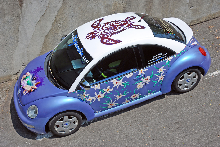 Surf Beetle