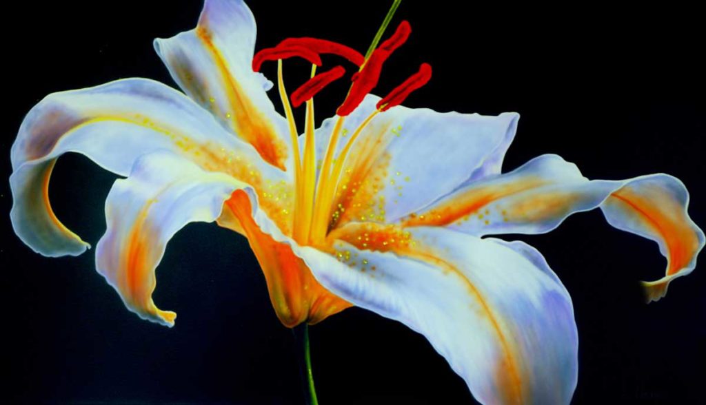 Lilia Lilium