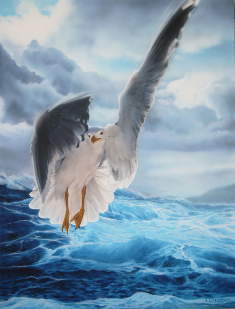 Navigatore del cielo